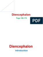 4 Diencephalon, Summarized