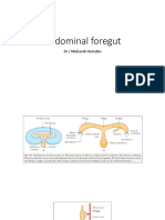 abdominal part of foregut