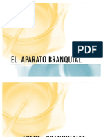 El Aparato Branquial