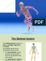 Bone Histology and Formation