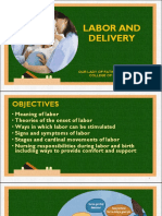 Rle Labor and Delivery 2022