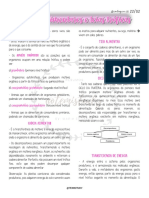 3 - Cadeias Alimentares e Teias Tróficas