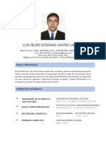Luis Felipe Estefano Castro Lachira CV