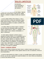 Anatomia 28-09-22