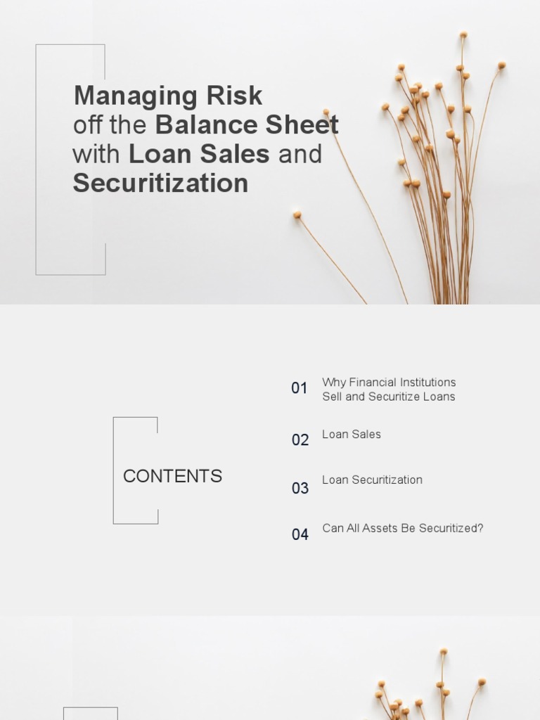 Managing Risk with Loan Securitization | PDF | Securitization ...