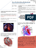 Fisiologia Do Sistema Cardiovascular .