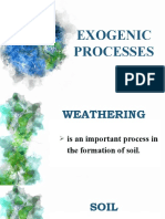 Exogenic Process