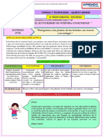 CT 5° actv. 03 - EDA 3 - archivos JOSEPH PONCE