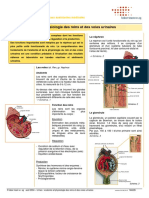 1 m4226 F Urines Anatomie Et Physiologie