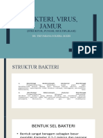 Bakteri, Virus, Jamur