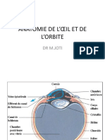 Ophtalmo6an22 Anato Oeil Orbite-Joti