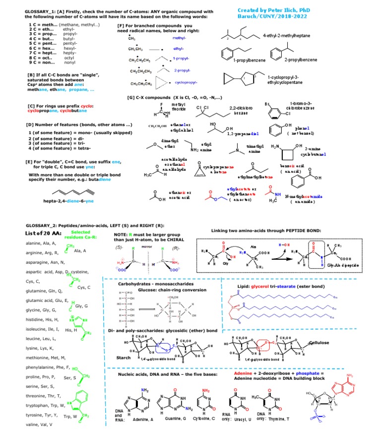 ORGO BIO Dictionary PDF Biomolecules Functional Group