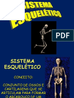 Sistema Esqueletico