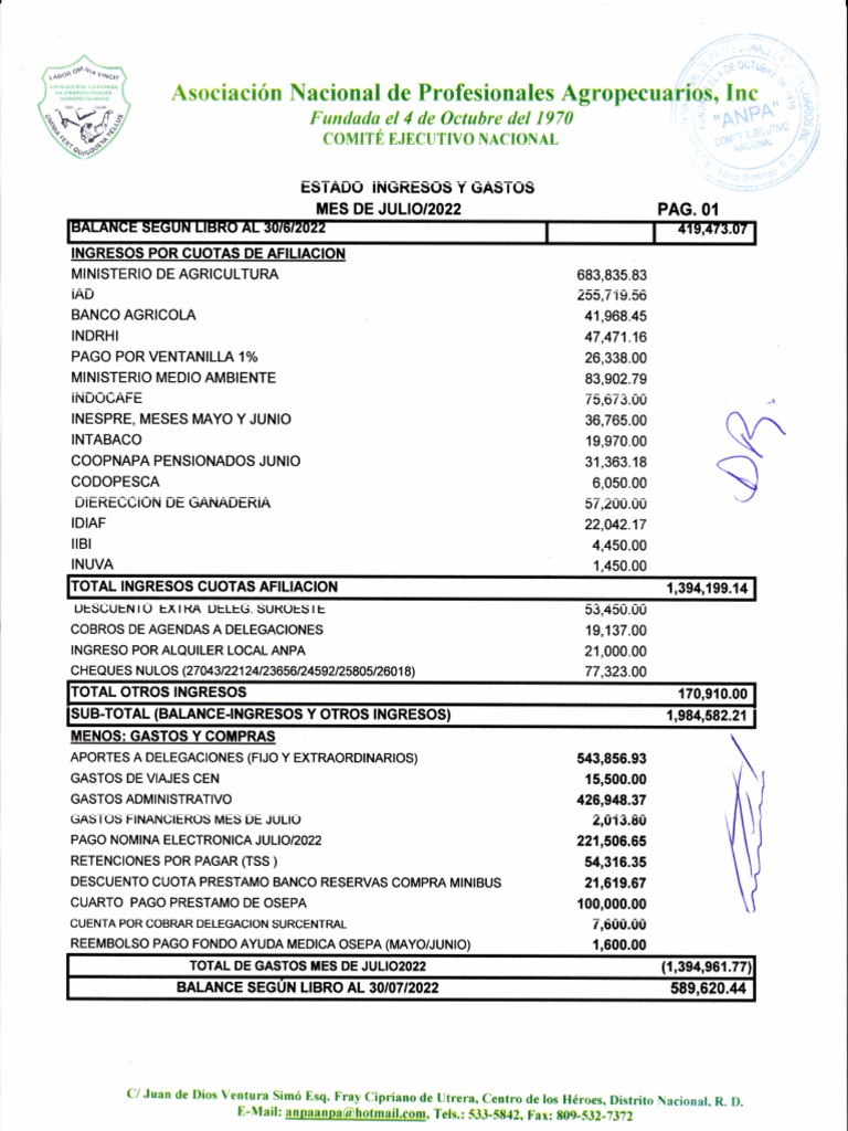 Estado Financiero ANPA, Julio 2022 | PDF | Toyota