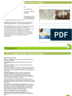Plantilla Fichas TP3-Procesos+Tec