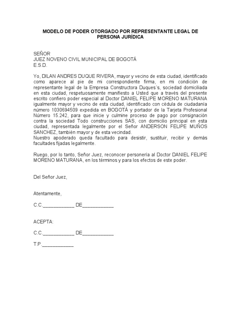 Modelo de Poder Otorgado Por Representante Legal de Persona Jurídica ...