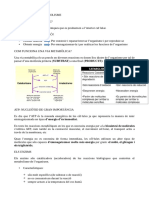 Resum Metabolisme