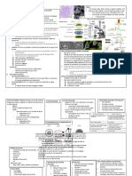 Met 1 - AISLAMIENTO Y CARACTERIZACIÓN DE CÉLULAS