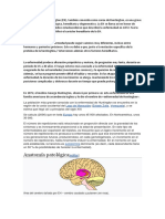 Enfermedad de Huntington: causas, síntomas y tratamiento