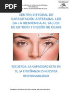 Centro Integral de Capacitación Artesanal Area de Belleza Taller Virtual de Estudio Y Diseño de Cejas