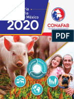 Anuario CONAFAB 2020 P
