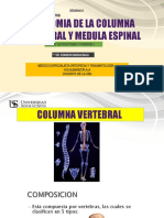 Anatomia Col y M.esp