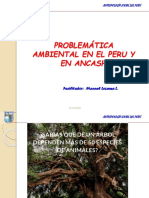 Problemática Ambiental en El Perú
