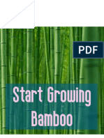 Bamboo Paper - Kira