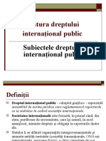 RISE Drept International Public