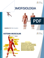 Sistema Muscular - MS