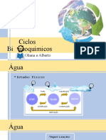 Ciclos Biogeoquimicos