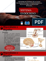 Sistema endócrino e principais glândulas
