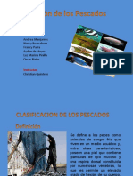 Tipos de peces según su forma, hábitat y contenido graso