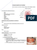 Patología digestiva no tumoral: boca, esófago, estómago e intestino