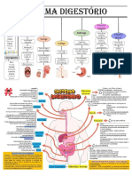 Mapa mental - Sistema digestório