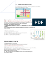 Aparato respiratorio y excretor