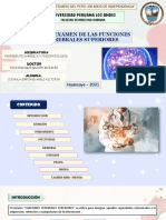 Examen de Las Funciones Cerebrales Superiores