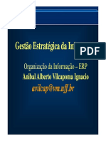Gestão Estratégica da Informação Organiza ERP
