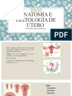 Anatomía e Histología de Útero