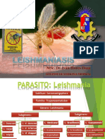 Leishamniasis 2022