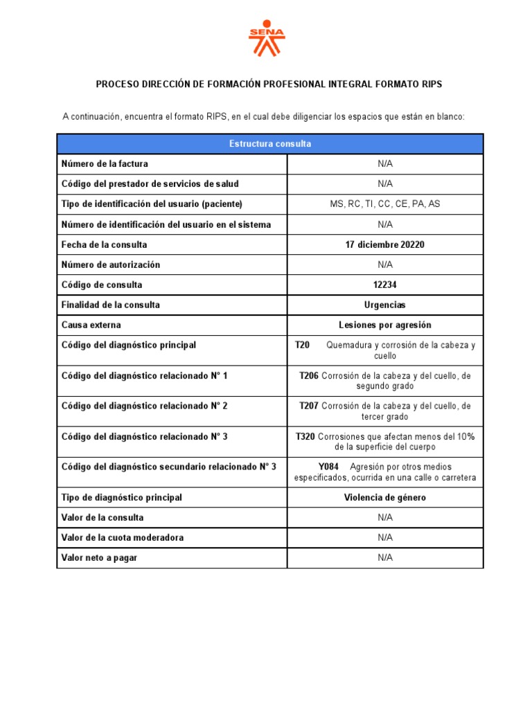 Anexo Formato RIPS PDF