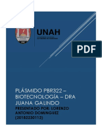Plasmido PBR322