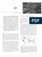 SORGO PDF - Ferti - Ferti - 2005 - 21 - 43 - 46