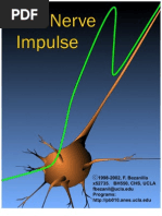 Download The Nerve Impulse 05 by Felipe Prez SN60139943 doc pdf
