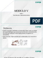 MODULO V Tema 3