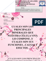 Cuales Son Los Principales Minerales Que Nuestra Celula Viva Lo Compone, y Cuales Son Sus Funciones, Causas y Efectos