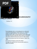 TTE Echocardiogram Guidelines and Codes | PDF | Echocardiography | Heart