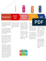 ODS Silicon Misiones