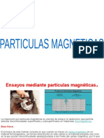 Particulas Magneticas