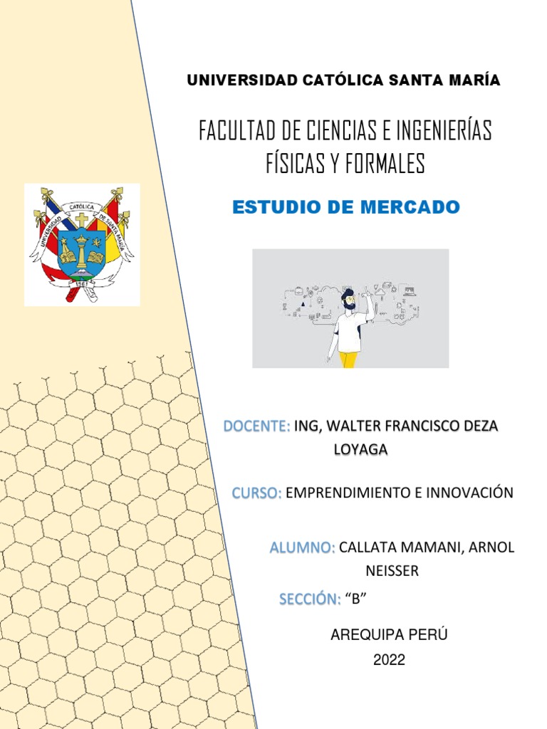 Unidad 5 Estudio De Mercado 1ºpractica Callata Pdf Mercado